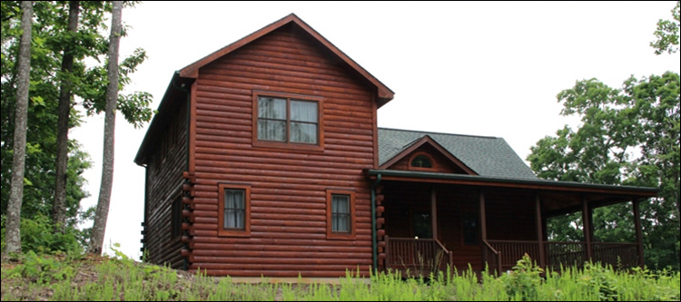Professional Log Home Borate Application  Jenkins County, Georgia